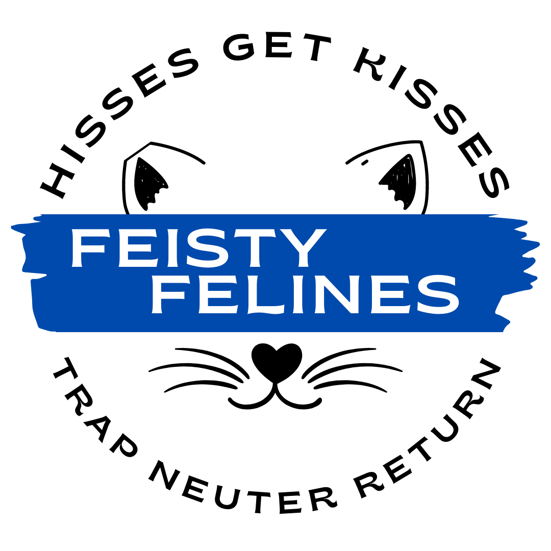 Feisty Felines logo