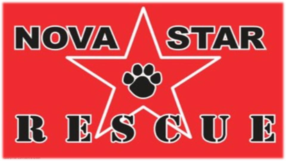 Novastar Rescue logo