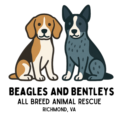 Beagles and Bentleys logo