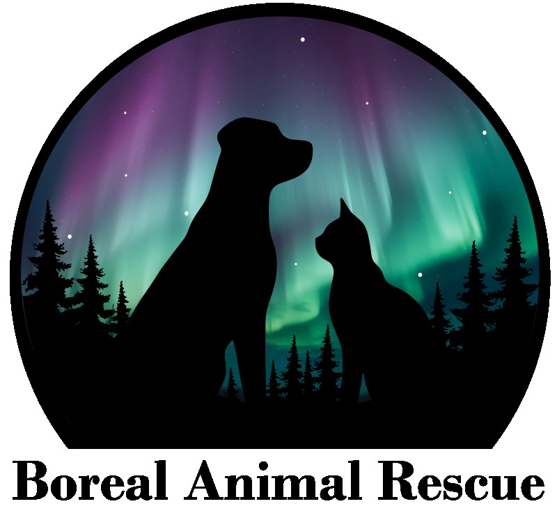 Boreal Animal Rescue Inc. logo