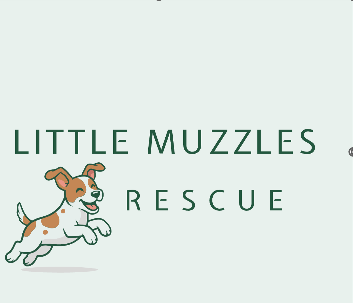 Little Muzzles Rescue, Inc  logo