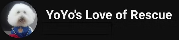 Yoyo's Love of Rescue logo