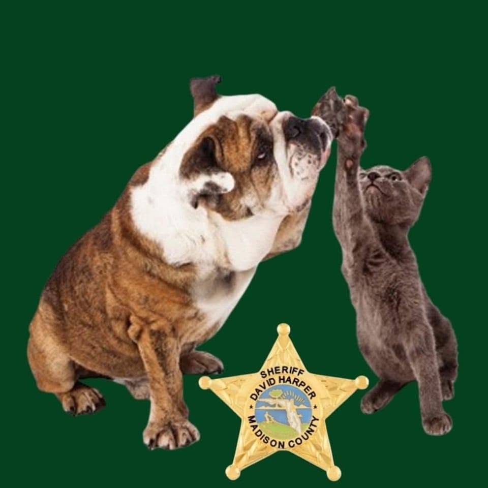 Madison County Sheriff's Office Animal Services logo