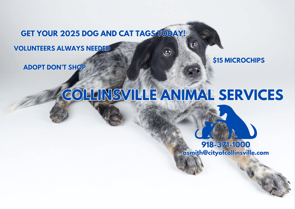 Collinsville Animal Services logo