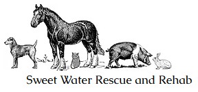 Sweet Water Rescue and Rehab logo