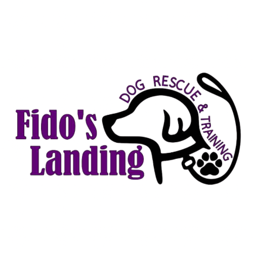 Fidos Landing Inc (NFP) logo