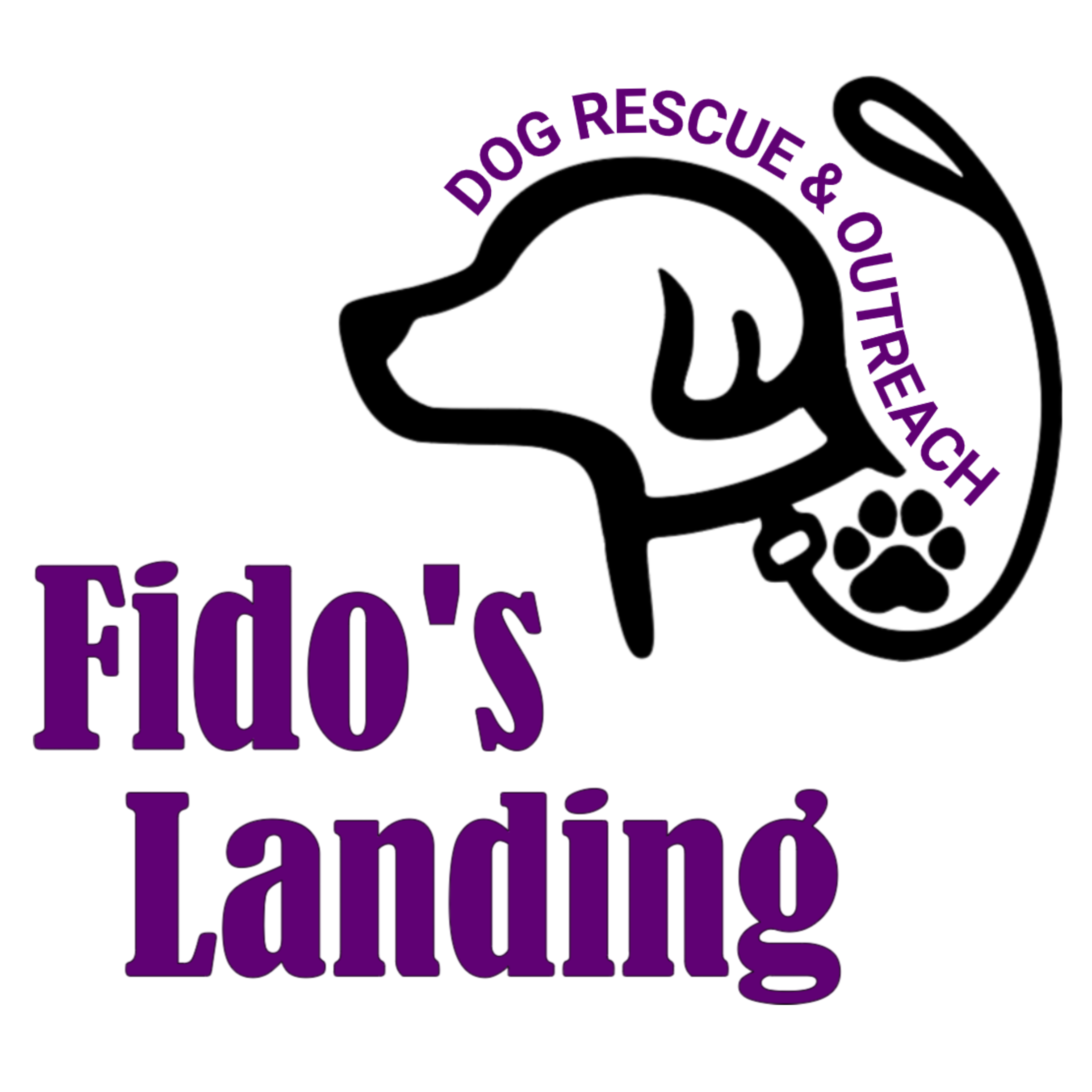 Fidos Landing Inc (NFP) logo