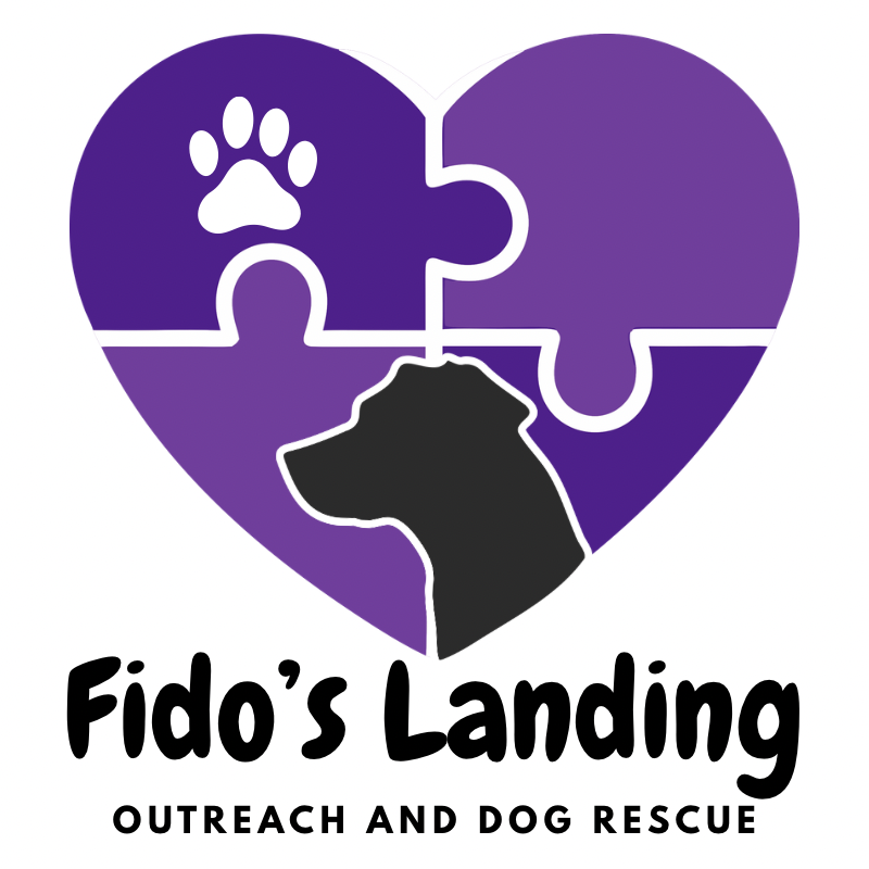 Fidos Landing Inc (NFP) logo