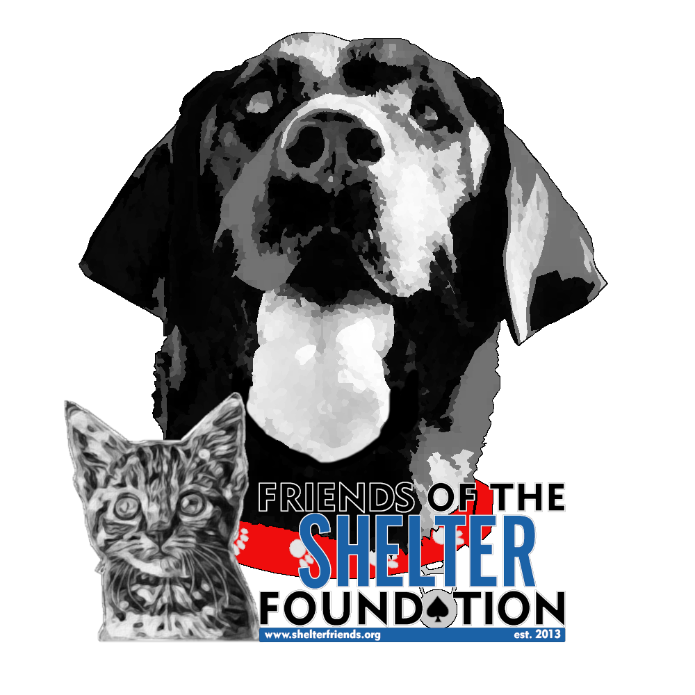 Friends of the Shelter Foundation logo