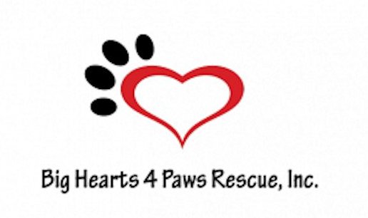 Big Hearts 4 Paws Rescue, Inc logo