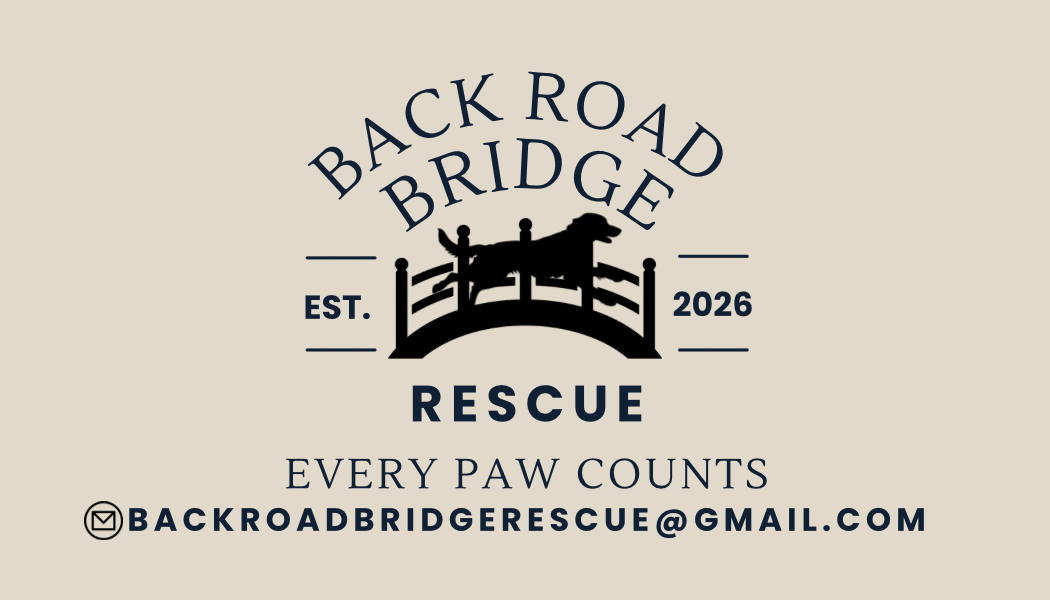 Backroad Bridge Rescue logo