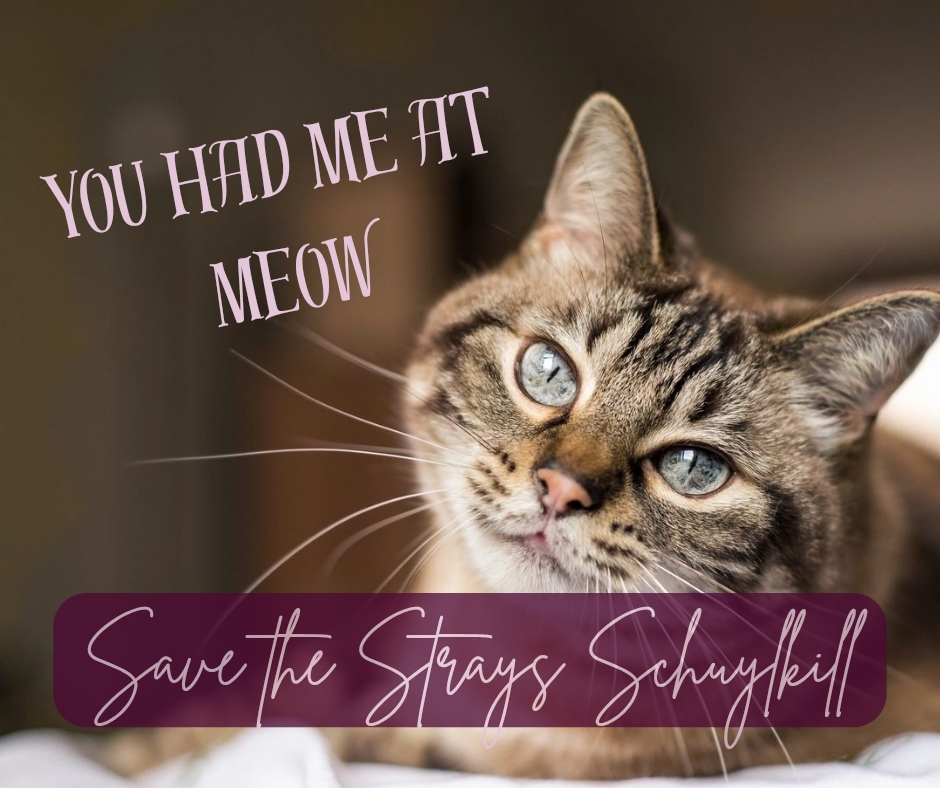 Save the Strays of Schuylkill logo