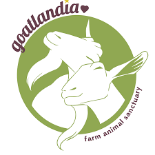 Goatlandia Farm Animal Sanctuary logo