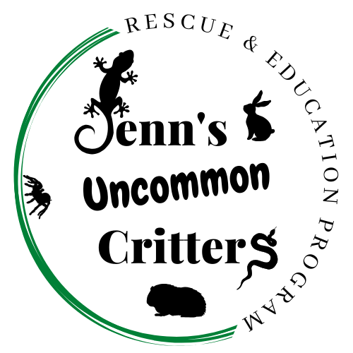 Jenn's Uncommon Critters logo