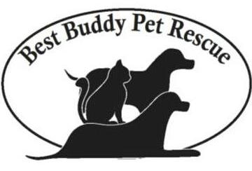 Best Buddy Pet Rescue logo