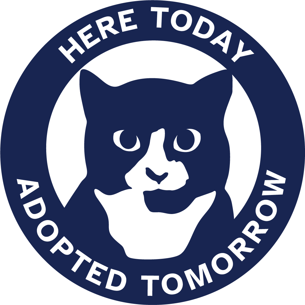 Here Today Adopted Tomorrow Animal Sanctuary, Inc. logo