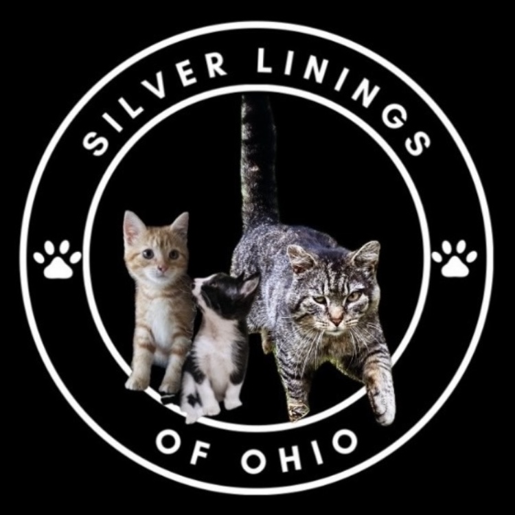 Silver Linings logo