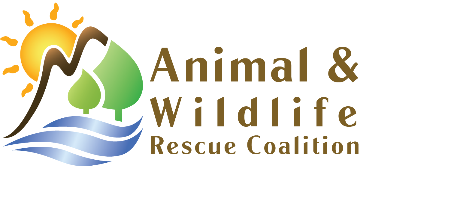 Animal & Wildlife Rescue Coalition logo