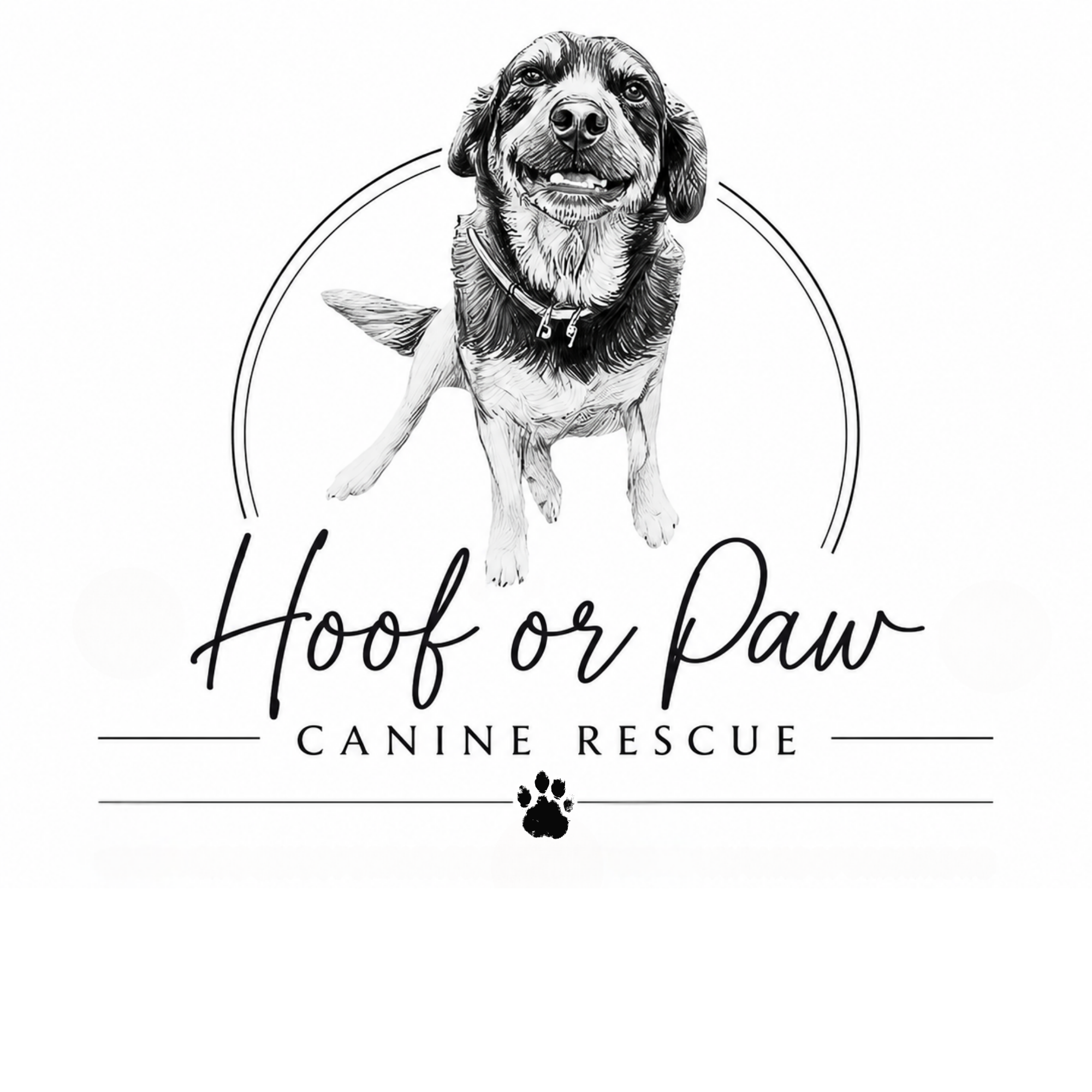 Hoof or Paw logo