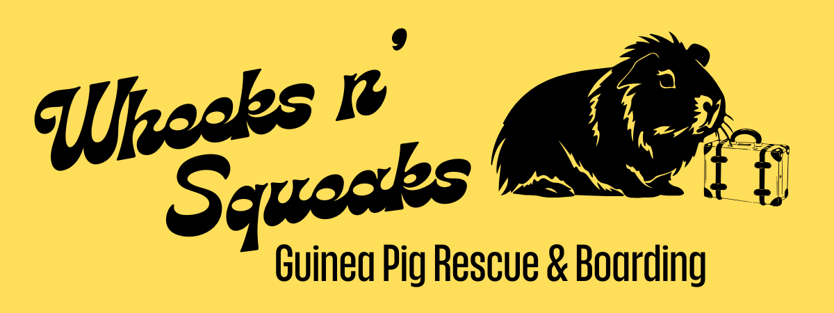 Wheeks n' Squeaks logo