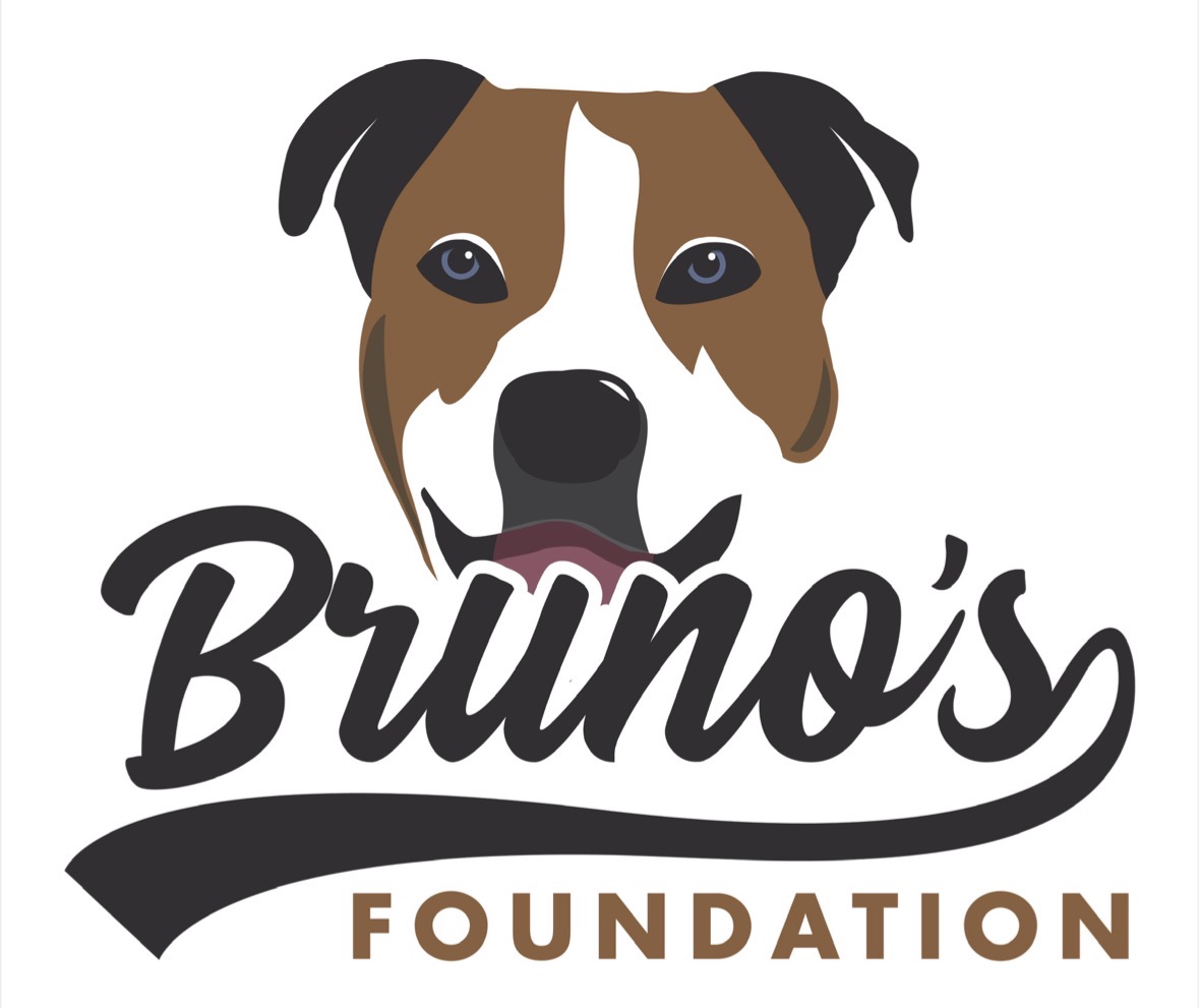Brunos Foundation logo