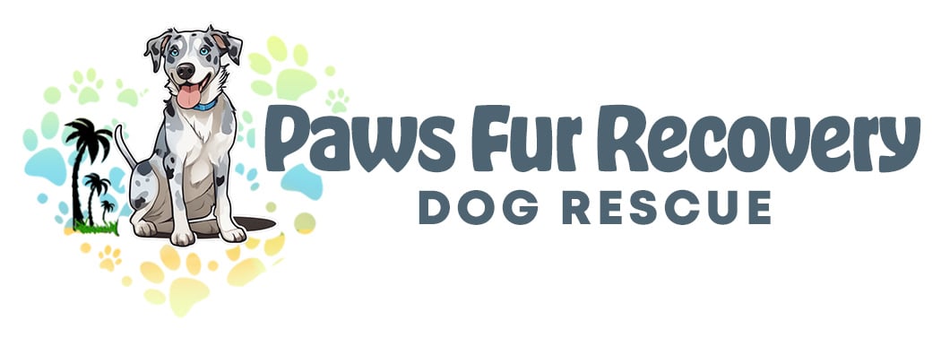Paws Fur Recovery logo