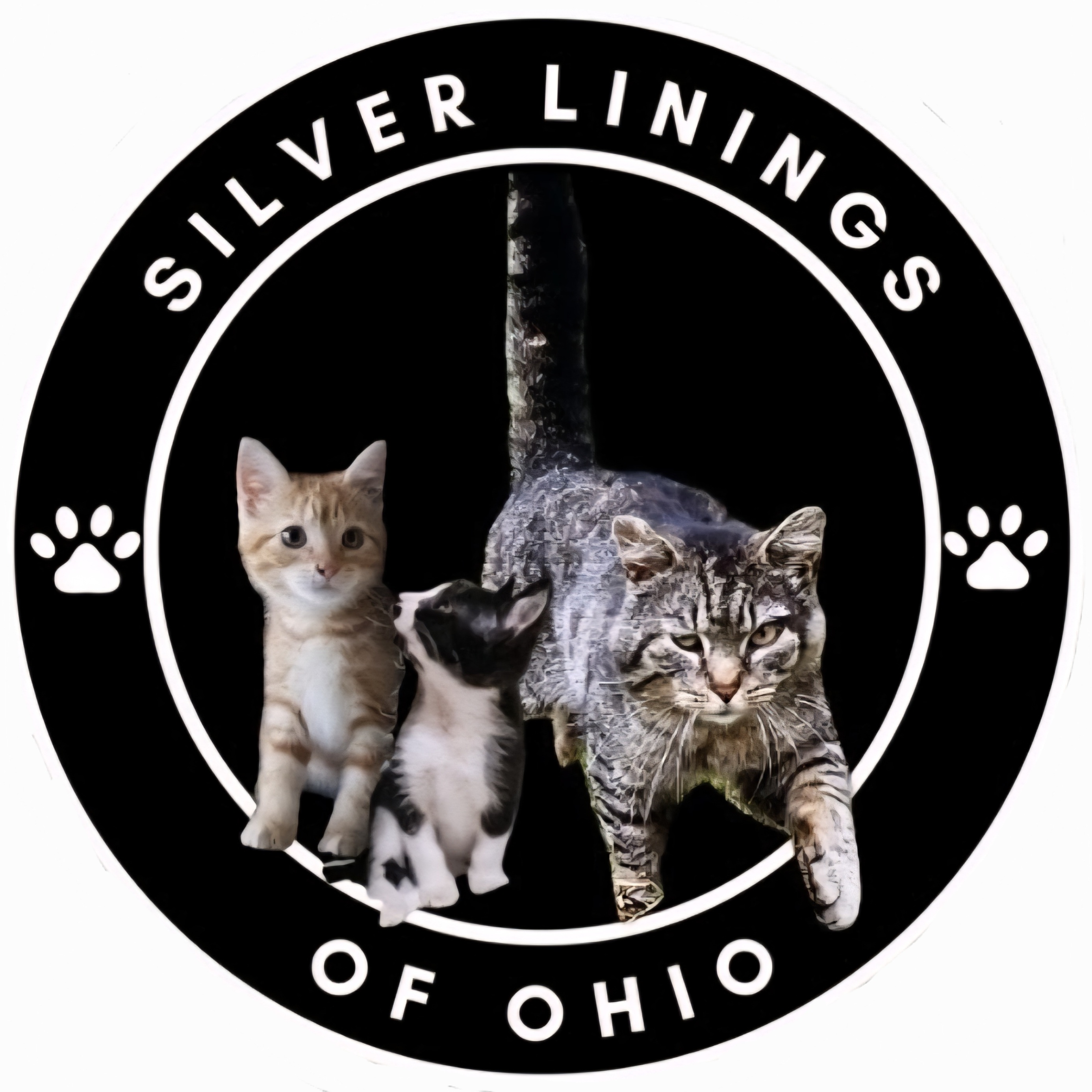 Silver Linings logo