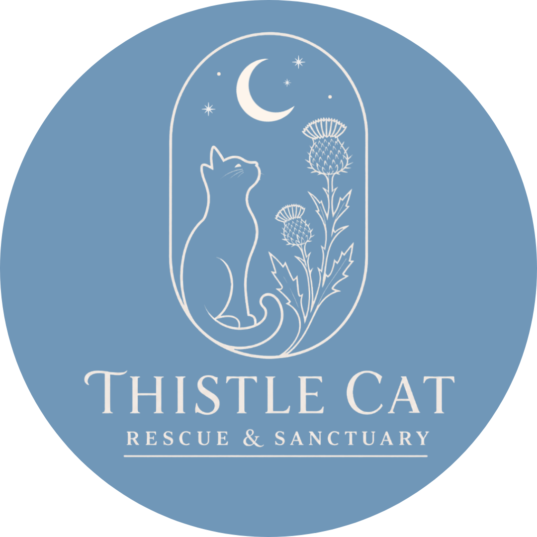 Thistle Cat Rescue & Sanctuary logo