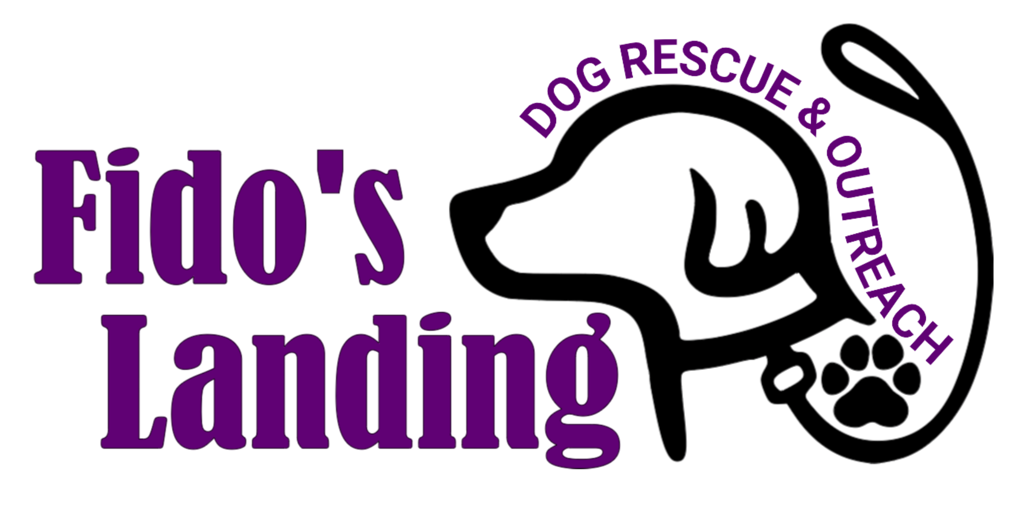 Fidos Landing Inc (NFP) logo