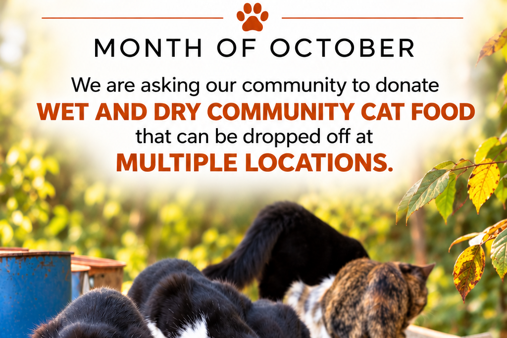 Community Cat Food Drive