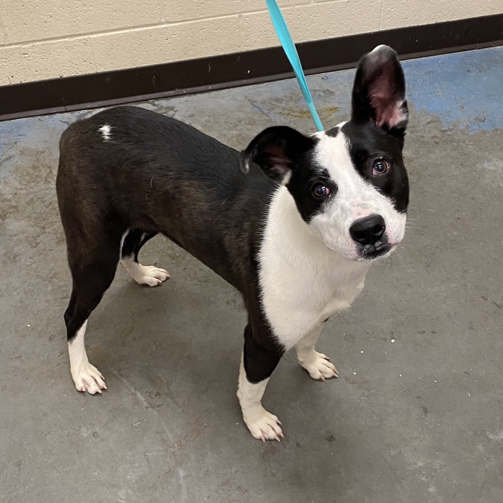 Donna — thumbnail 2