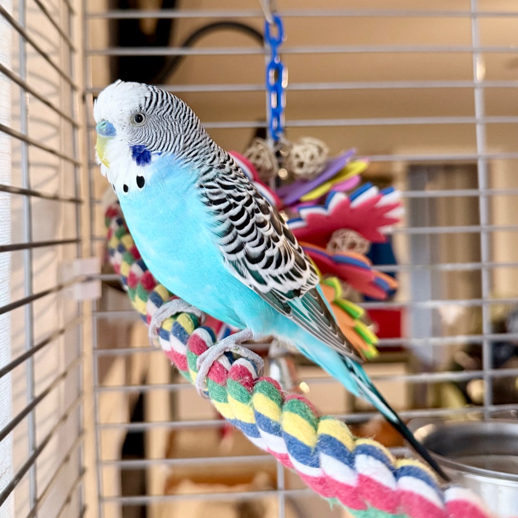 7d14fb057900acc3eebead4235bd11b5