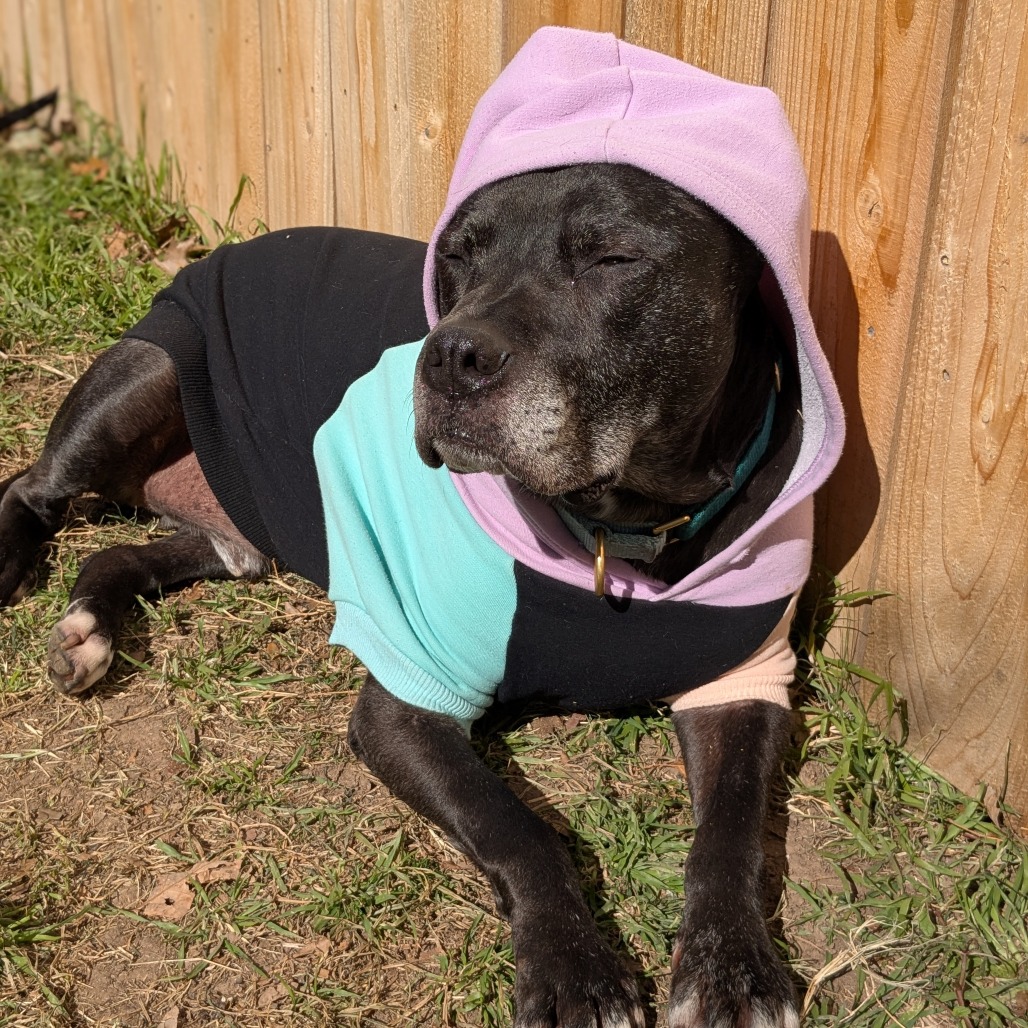 Zeus, additional photo