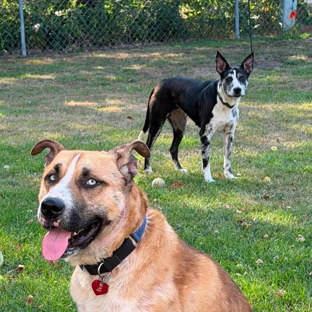 Beesly, photo 16