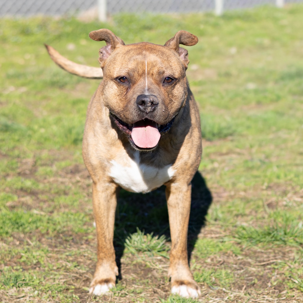 Zeus, additional photo