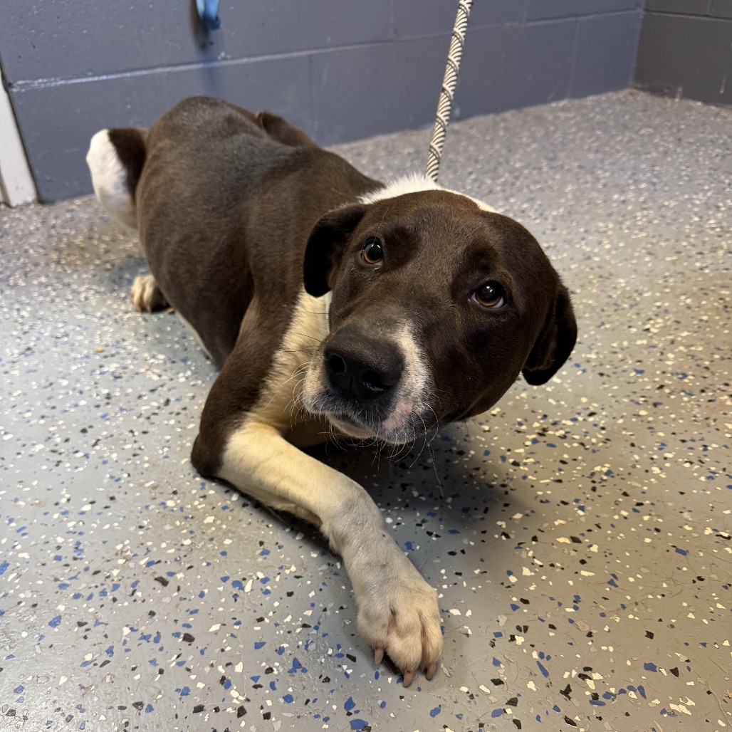  Photo of TUSC-Stray-84665