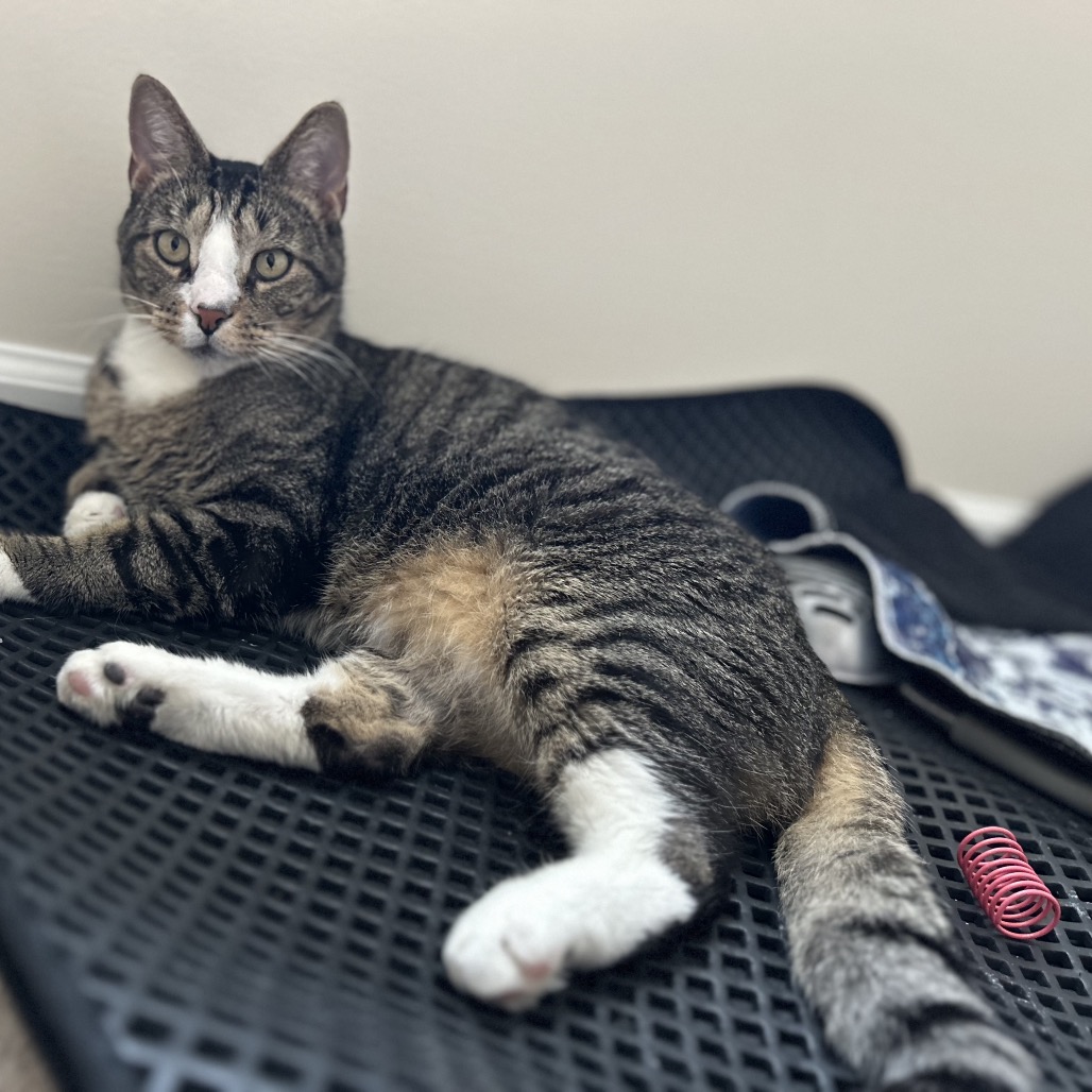 Gill — thumbnail 3