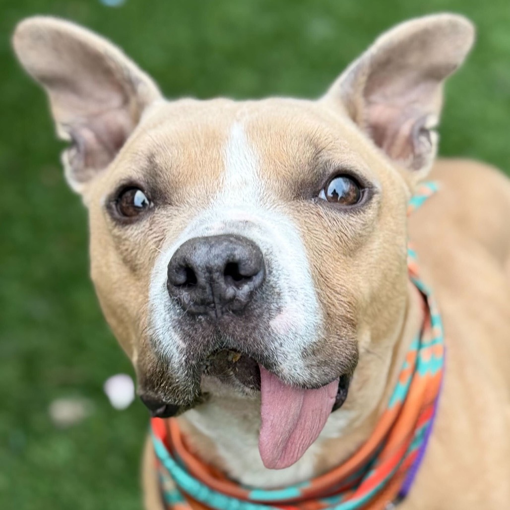 Tucker — thumbnail 2