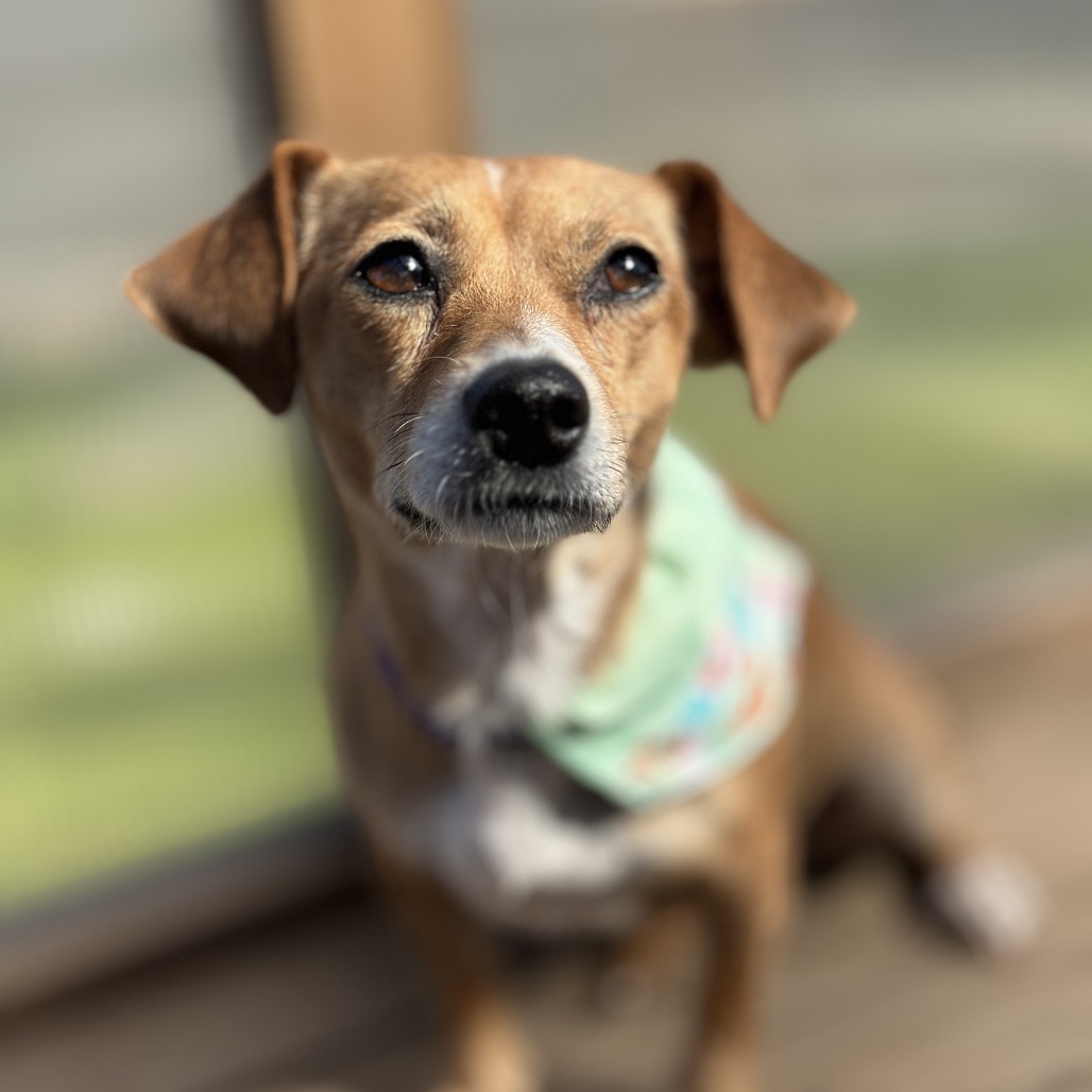 Carly — thumbnail 2