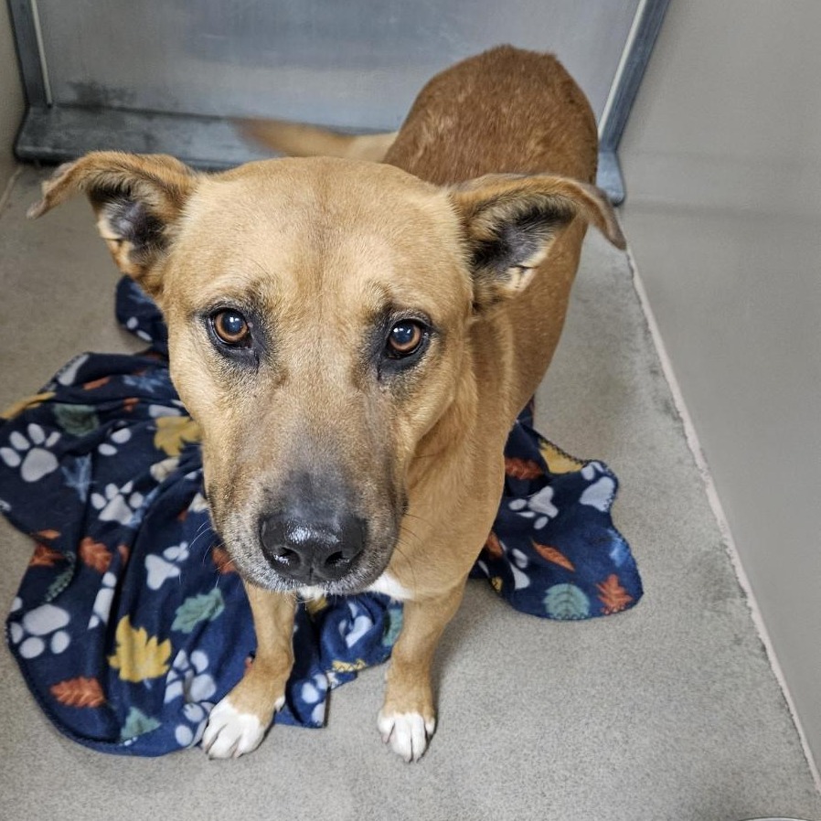 Kennel#32 Moose's preview photo