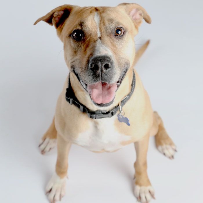 Ruthie, photo 10