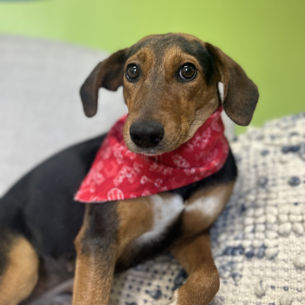 Mae West — thumbnail 5