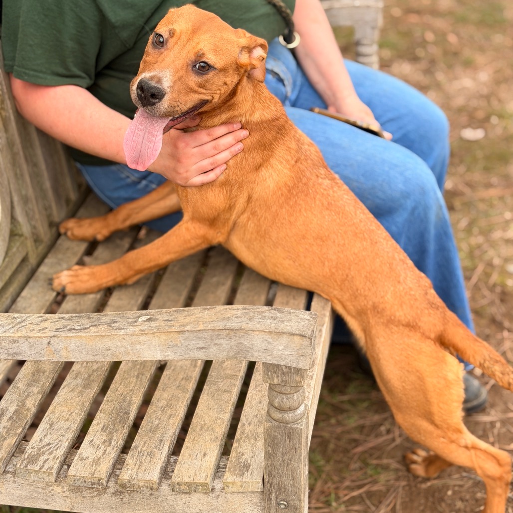 Namine — thumbnail 4