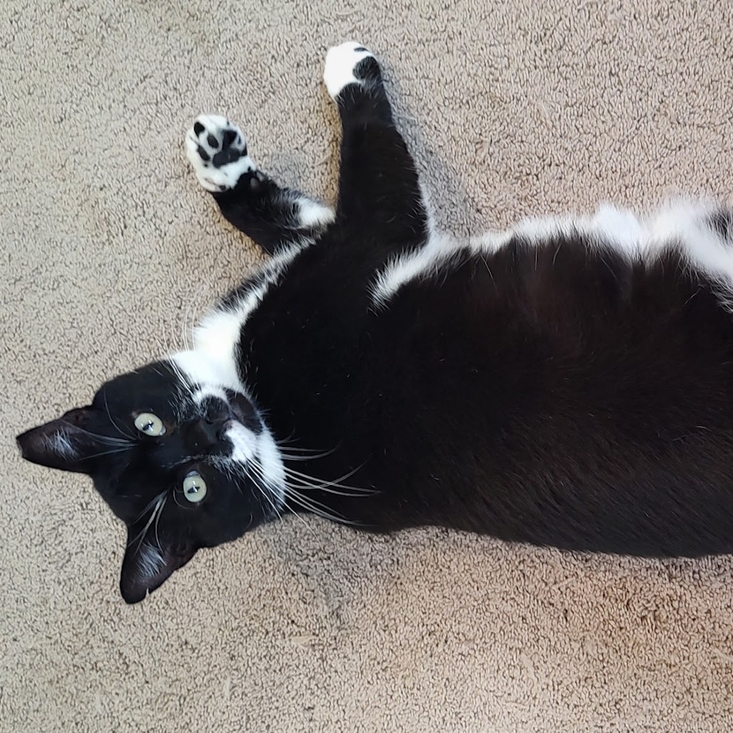 Big Poppi, photo 8