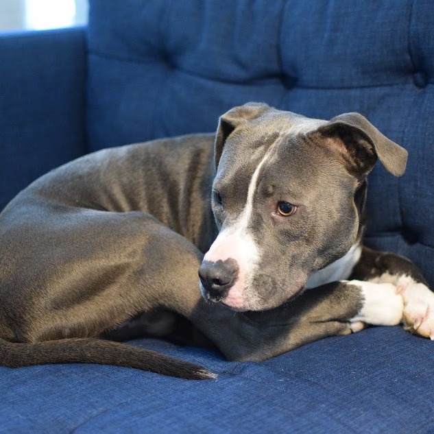 Moonbeam — thumbnail 10