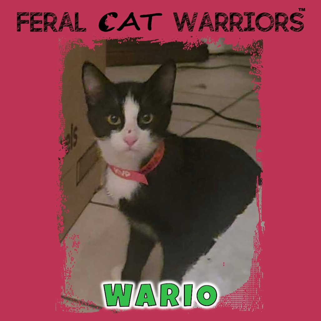 Wario