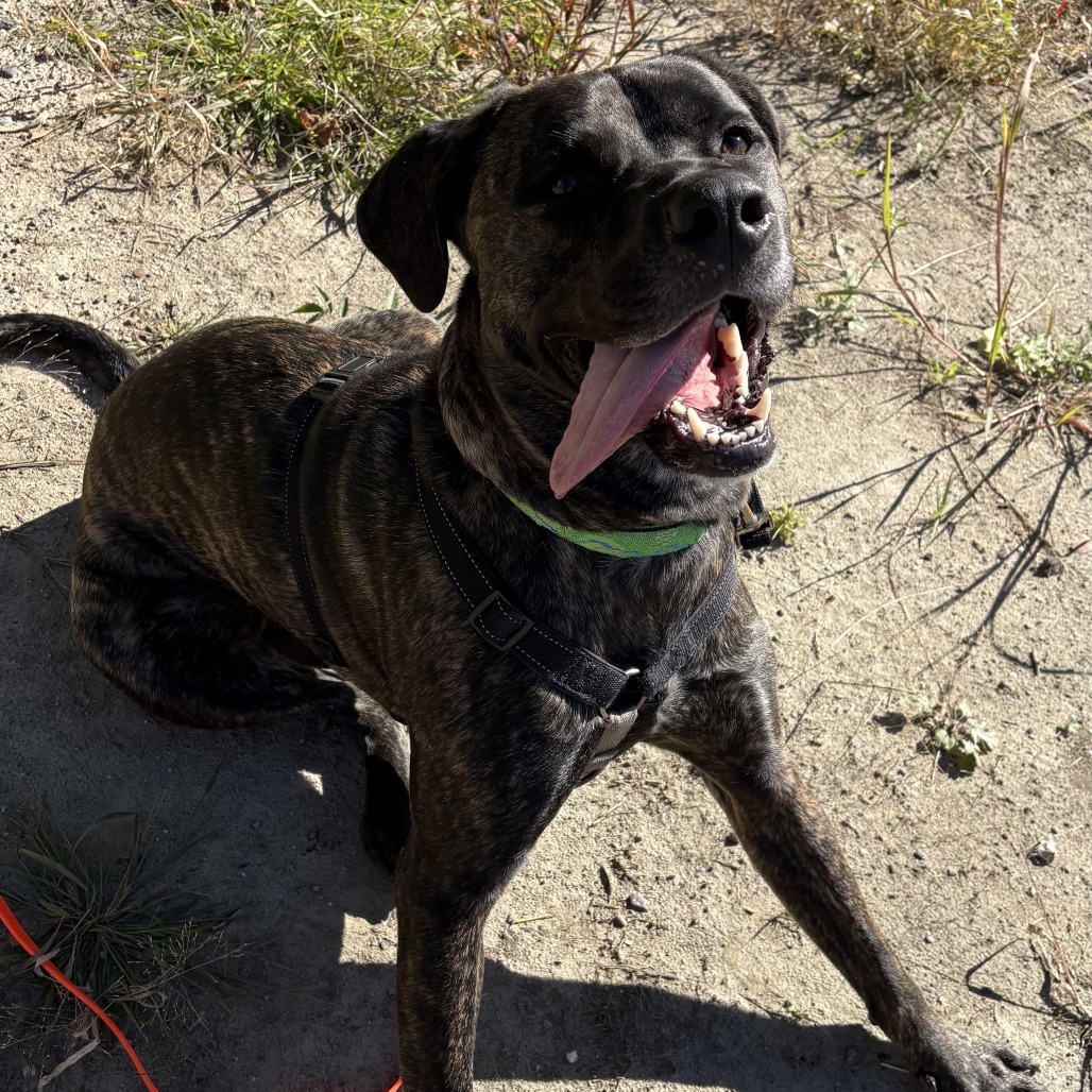 Earl, photo 31