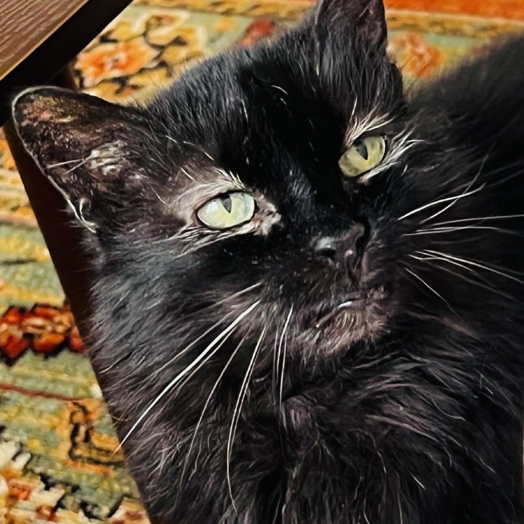 Ursula