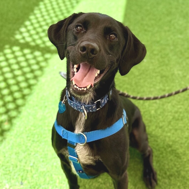 Photo of Lucy playing