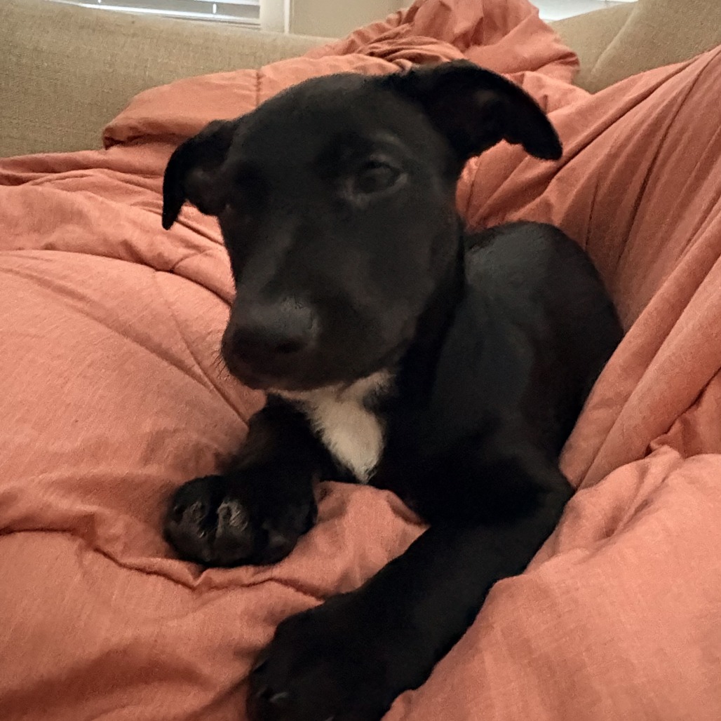 Leona — thumbnail 5